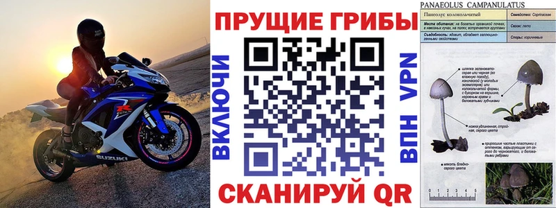 Псилоцибиновые грибы Psilocybe  дарнет шоп  ОМГ ОМГ маркетплейс  Сердобск 